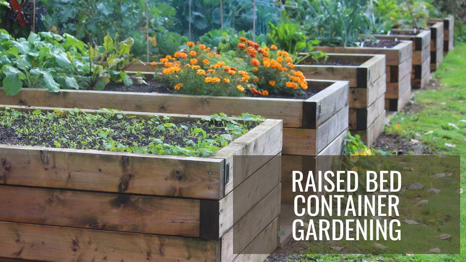 Raised Bed Container Gardening