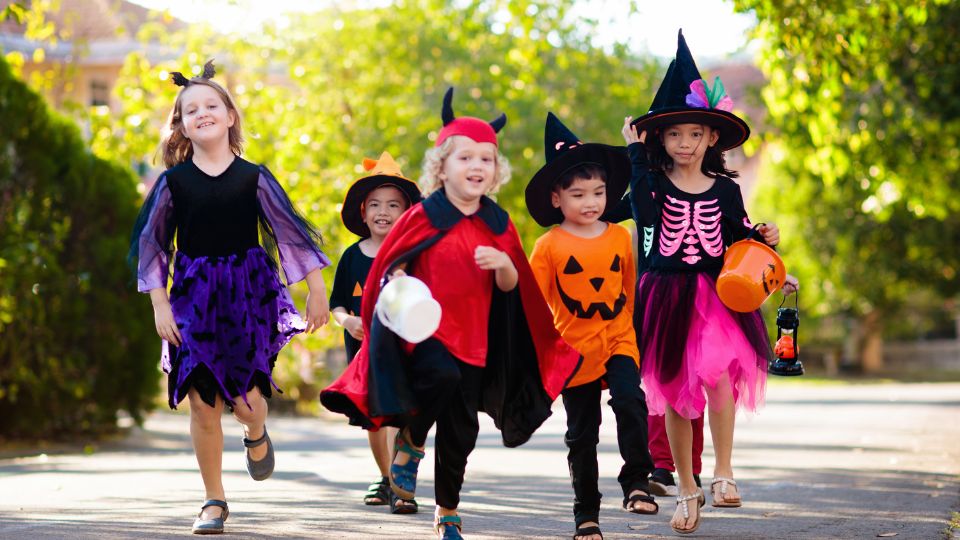 Trick or Treating: Pass out candy